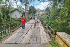 BAHAYA! Lantai Jembatan Sidodadi-Kampung Bogor Berlubang 