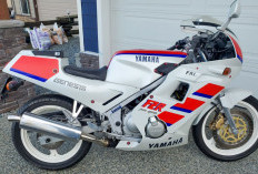  Yamaha FZR 250, Moge Lawas yang Masih Jadi Incaran Kolektor 