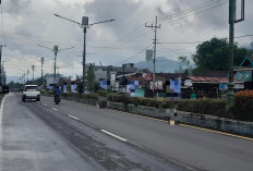 APS Bertebaran di Jalur Hijau Akan Ditertibkan Satpol PP Kepahiang, Tapi... 