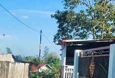  Tiang Listrik Terbuat dari Bambu: Berpotensi Membayakan, Warga Menanti Kehadiran PLN Kepahiang 