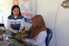 Sudah 360 Dosis Vaksin Rabies Disuntikan