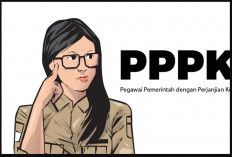 PPPK 2024, P1 Aman, Honorer Teknis Lewat 4 Jalur