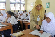 Guru ASN Sudah Dapat Tunjangan Sertifikasi 1 Kali Gapok, Hanya Naik Rp 500 Ribu  