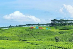  Pihak Ketiga Siap-siap, Aset Wisata Disparpora Kepahiang Akan Dilelang, Cek Rinciannya!