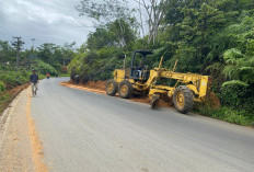 5 Bulan Dibiarkan, Dinas PUPR-Hub Lebong Bersihkan Longsor di Jalan Provinsi