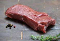 Manfaat Daging Kijang Bagi Kesehatan Tubuh 