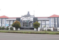 Kasus Meningkat, DP3AP2KB Bengkulu Tengah Perkuat Satgas Perlindungan Anak