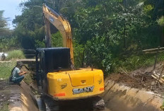 Tanggapi Keluhan Petani, Dinas TPHP Normalisasi Sistem Irigasi di Kota Bengkulu