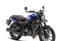 Harga Motor Harley Davidson Ini Hanya Rp 50 Juta, Lebih Murah dari XMAX