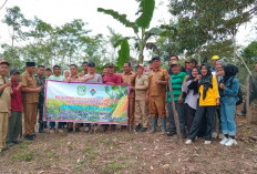 Desa Talang Gelompok Kabupaten Kepahiang Tanam Jagung