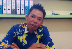 Honorer Kepahiang Waspada!, BKDPSDM Temukan 2 Website Pendataan Honorer Palsu