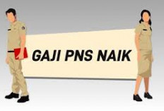  Naik, Berikut Rincian Gaji PNS 2024 dari Golongan I Sampai IV