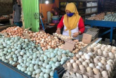 Makan Telur Bikin Kolesterol Tinggi, Mitos atau Fakta?