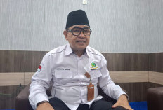 Libur Lebaran Boleh Gunakan Mobnas, Risiko Kerusakan Tanggungan Pribadi!!