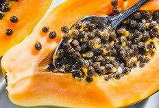  Apa Saja Manfaat Makan Biji Pepaya? Ini 6 Efeknya ke Tubuh