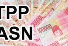 20 OPD Belum Sampaikan Usulan Pencairan TPP