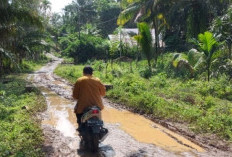Pemkab Benteng Segera Perbaiki Jalan Rusak Padang Siring-Karang Nanding 