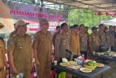 Pemkab Rejang Lebong Dukung Program Ketahanan Pangan Satu Desa Satu Hektare Jagung