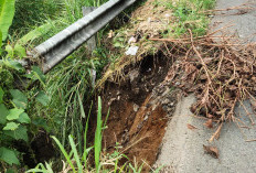Jalan Penghubung di Desa Bogor Baru Kabupaten Kepahiang Amblas dan Longsor 