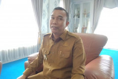 Masuk PSN 2025, Jalan Tol Bengkulu-Lubuklinggau Dilanjutkan: Peluang Investasi Kepahiang Terbuka Lebar