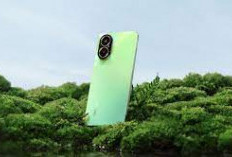 Realme C67 atau Tecno Spark 20 Pro, Simak Ulsannya!