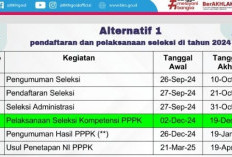 Dari 4 Alternatif, Ini Jadwal Lengkap Pendaftaran PPPK 2024 Disepakati Pemerintah dan DPR 