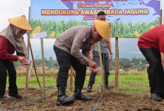 Polres Kepahiang Tanam Jagung di Lahan BBI