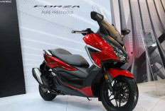  Honda Forza 250: Sekuter Premium, Harganya Hampir 5 Kali Honda Beat