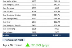 Realisasi KUR di Bengkulu Capai Rp 2,99 Triliun, Mukomuko Tertinggi