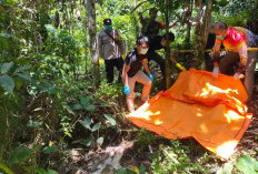 Penemuan Kerangka Manusia Gegerkan Warga Kabawetan Bengkulu