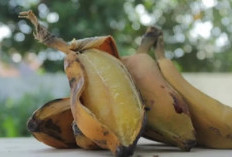 Berikut Ini 4 Khasiat Pisang Rebus Campur Madu