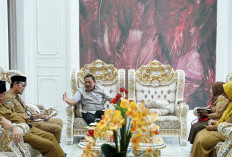 Pemprov Bengkulu Ambil Langkah Penghijauan di Areal Bekas Tambang