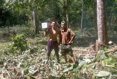 Pemdes Cinta Mandi Wacanakan Bangun Saung Wisata