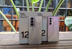 Dilengkapi 8 Sensor, Ini Spesifikasi Lengkap Oppo Reno 12 5G