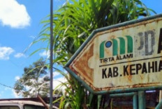 Meskipun Tunggakan Pelanggan Masih 'Menggunung', Tarif PDAM Dipastikan Tetap!