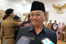 Pemerintah Kabupaten/kota Diminta Optimalkan Stabilitas Harga Pangan