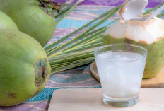 Catat! Ini Waktu yang Tepat Minum Air Kelapa 