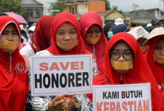 P1 di Sekolah Swasta Merana, Regulasi PPPK Dinilai Hanya Berpihak kepada Honorer