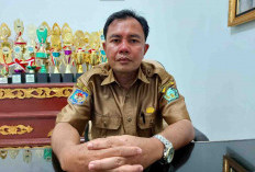 Kabupaten Lebong Terima Sapi Kurban Presiden Prabowo, Segini Beratnya