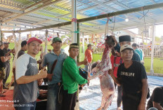 Idul Adha 2025 Penuh Kebersamaan: Warga Desa Taba Tebelet Kurban 9 Sapi dan 9 Kambing  