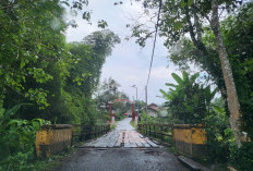 Jembatan Sidodadi-Kampung Bogor Rusak, Dinas PUPR Tunggu Ada Dana