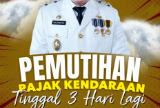 Segera Berakhir, Manfaatkan Program Pemutihan Pajak Kendaraan