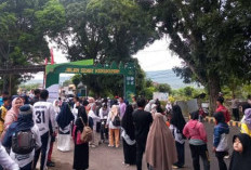 Ribuan Peserta Meriahkan Jalan Sehat Kerukunan Hari Amal Bakti Kemenag Rejang Lebong