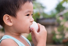 Kenali Manfaat Telur untuk Anak, Salah Satunya Bisa Tingkatkan Fungsi Otak