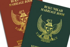 Buku Nikah Terbaru Mulai Berlaku Oktober 2024, Buku Nikah Lama Dimusnahkan 