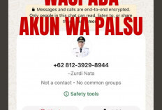 Gunakan Provider Telkomsel: Bupati Kepahiang Zurdi Nata Palsu Berkeliaran