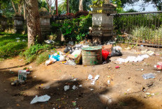  KUB Sudah Siap Tempur: Pengelolaan Sampah di Pusat Kota Tunggu Instruksi Pemkab Kepahiang
