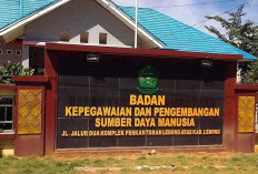 Baru 1 Pendaftar, Pendaftaran Lelang JPTP Kabupaten Lebong Berpotensi Diperpanjang