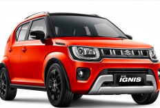 Penjualan Suzuki Ignis di Indonesia Berakhir, Ini Alasan SIS