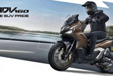 Honda ADV160 Versi Baru : Desain Agresif dan Fitur Melimpah